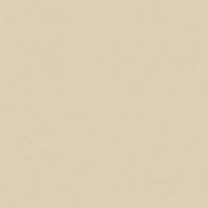 SANDERSON PAINT BEACH BEIGE  35
